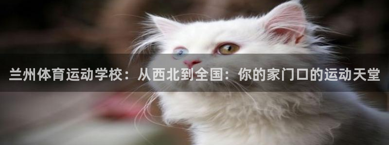 MK体育官网下载是干嘛的公司：兰州体育运动学校：从西
