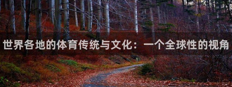 注册MK体育官方正版app：世界各地的体育传统与文化