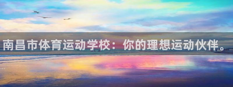 MK体育官方正版app集团logo：南昌市体育运动学校：你的