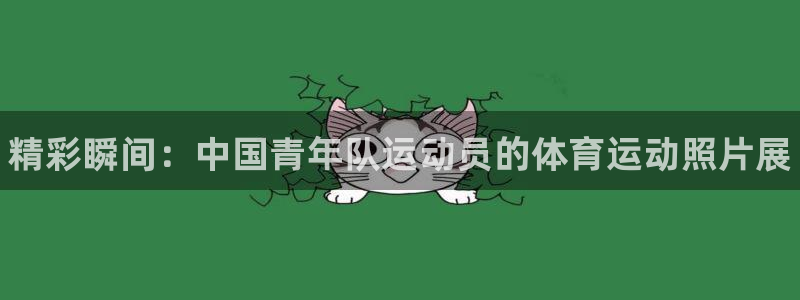 MK体育官方正版app娱乐是那个系列的台子：精彩瞬间