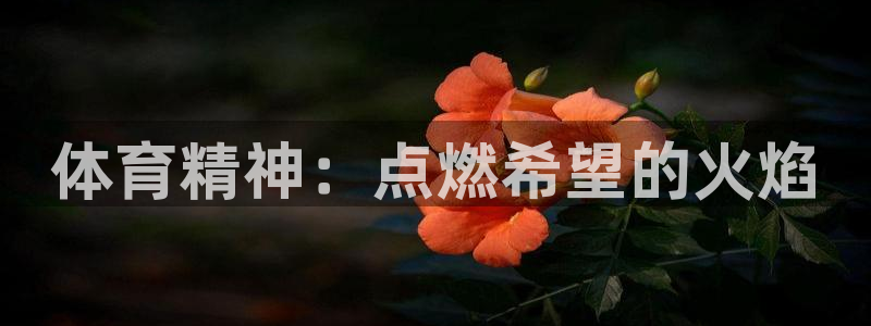 MK体育官网下载招商电话号码是多少号：体育精神：点燃希望的火
