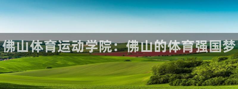 MK体育官方正版app娱乐平台：佛山体育运动学院：佛山的体育