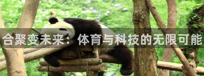 MK体育官网下载招商电话：合聚变未来：体育与科技的无限可能