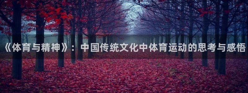 MK体育官网下载平台是正规平台吗安全吗：《体育与精神》：中国