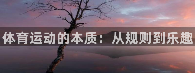 MK体育官网下载联系电话：体育运动的本质：从规则到乐趣