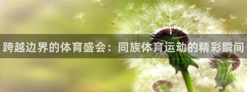 MK体育官方正版app娱乐：跨越边界的体育盛会：同族