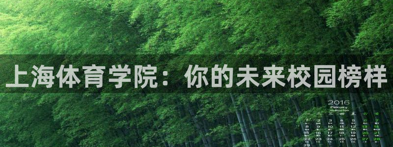 海南MK体育官网下载发展怎么样：上海体育学院：你的未来校园榜