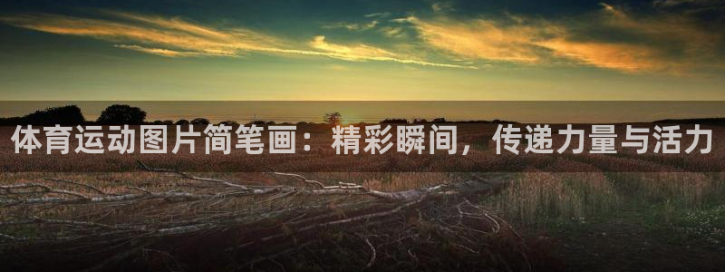 MK体育官方正版app科技：体育运动图片简笔画：精彩瞬间，传