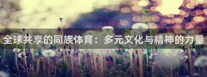 MK体育官网下载平台APP