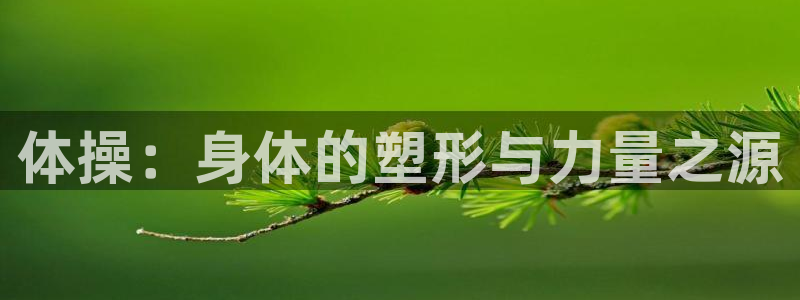 德国MK体育官方正版app集团：体操：身体的塑形与力量之源