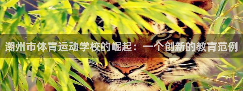 MK体育官方正版app娱乐首页官网下载