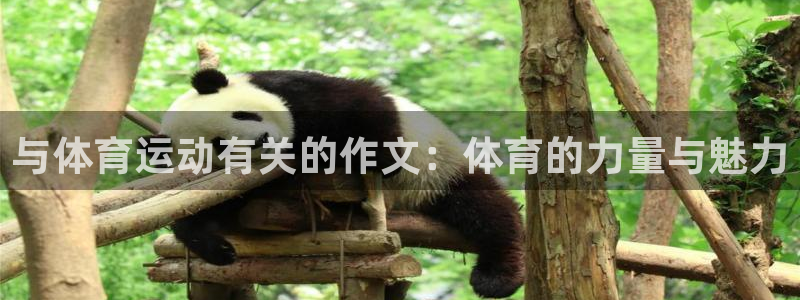 海南MK体育官网下载发展怎么样：与体育运动有关的作文：体育的