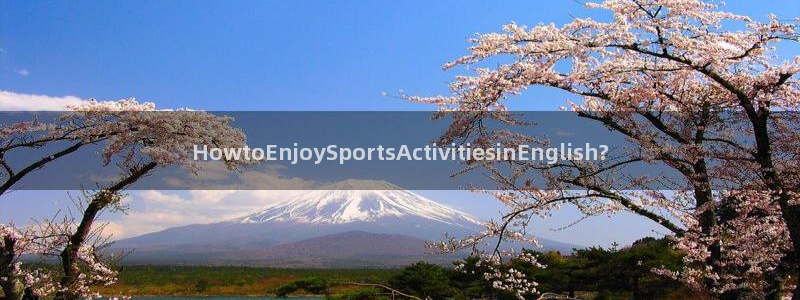 MK体育官方正版app娱乐40996