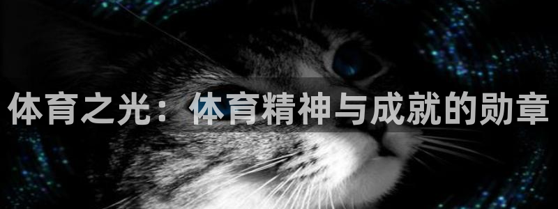 MK体育官网下载招商电话号码是多少：体育之光：体育精神与成就