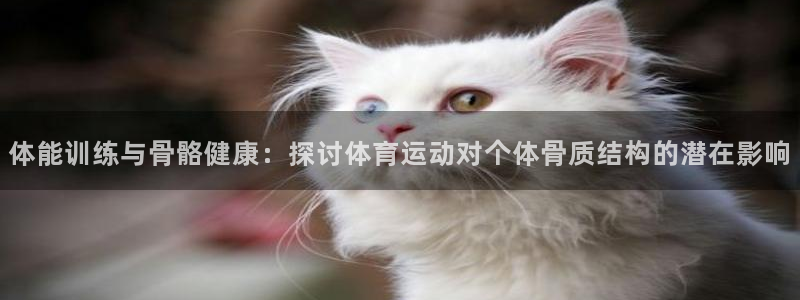 MK体育官方正版app科技