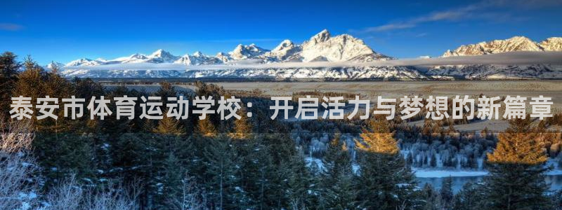 MK体育官网下载招商：泰安市体育运动学校：开启活力与梦想的新