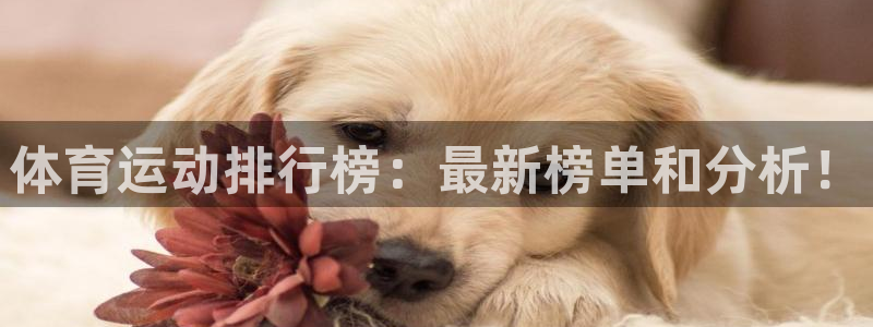 海南MK体育官网下载：体育运动排行榜：最新榜单和分析！